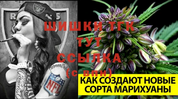 соль курить ск Горно-Алтайск