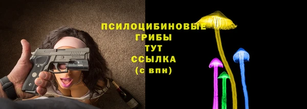 СК Волосово