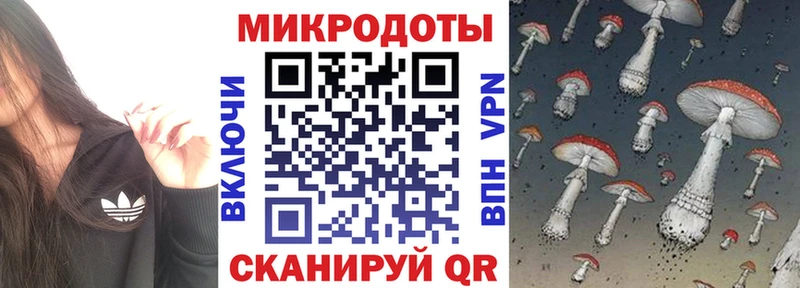mega онион  купить наркоту  Барнаул  Псилоцибиновые грибы мухоморы 